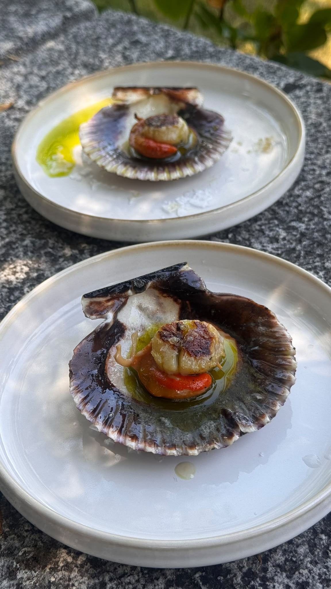 Zamburiñas del Pacífico a la brasa con aceite verde y cítricos